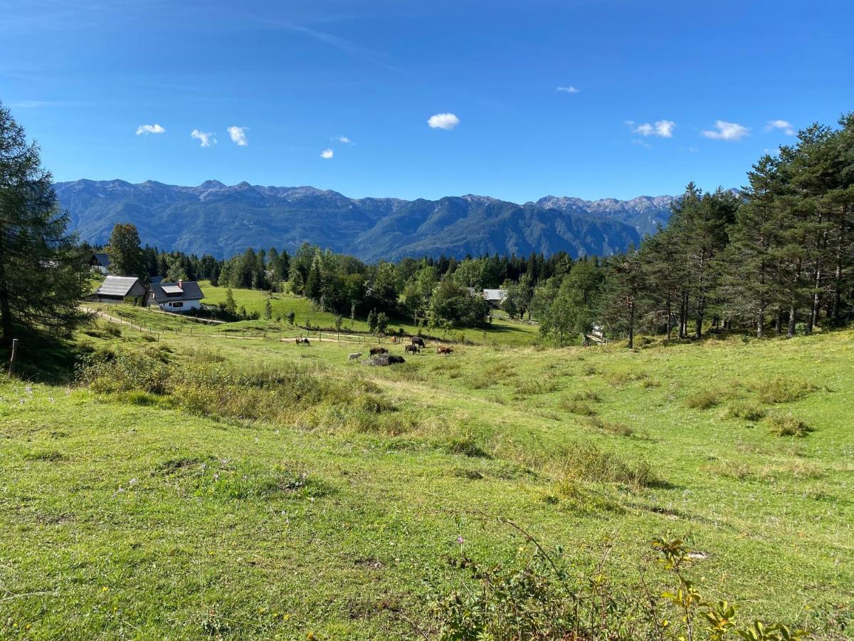 Lovely In A Mountain Wilderness Of The National Park Srednja Vas v Bohinju